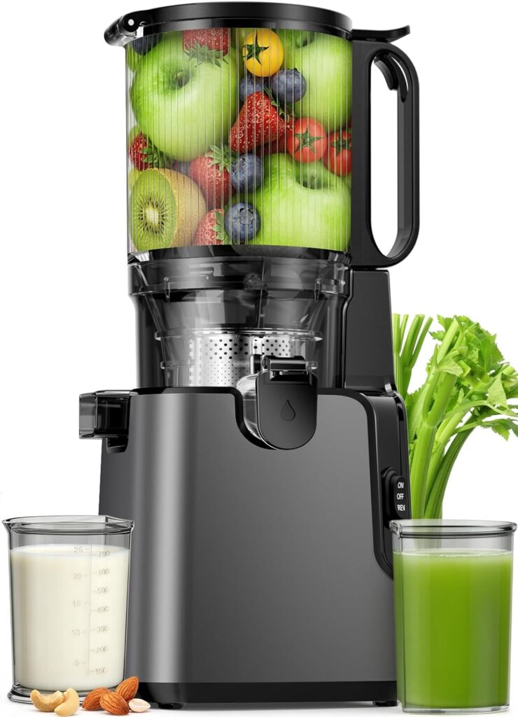 YPONE Juicer Machines 2-in-1 Cold Press Juicer Easy to Clean Titanium gray
