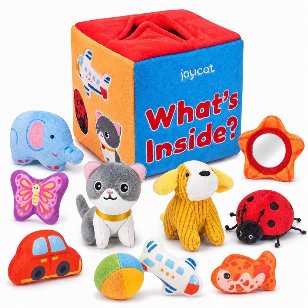 JoyCat Baby Toys 6-12 Months, Mystery Soft Box 10 Sensory Objects, Rat…